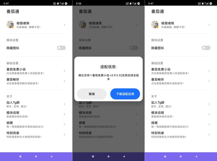 番茄通1.0.4番茄小说番茄畅听VIP解锁模块 图1