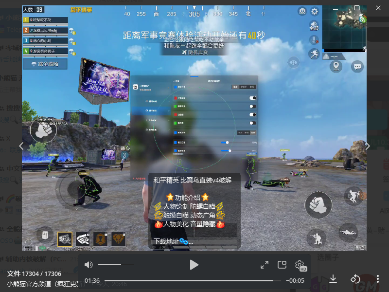 和平精英 比翼鸟直装v4破解 图1