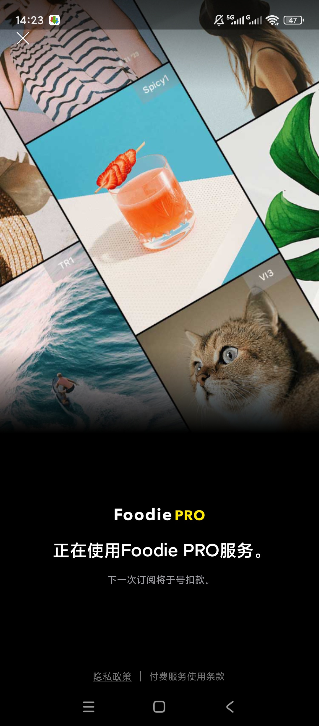 【原创解锁】Foodie解锁会员美食胶片滤镜氛围感拍摄 图6