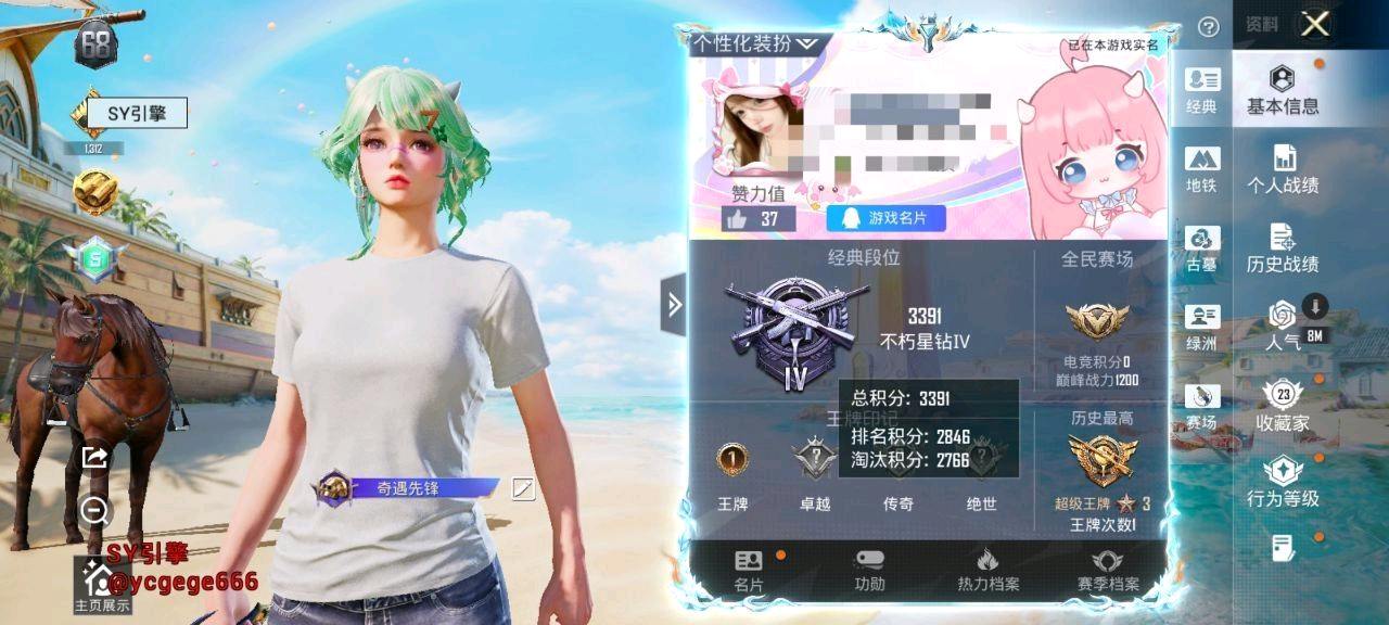 和平精英SY容器直装2.0最新版本 图2