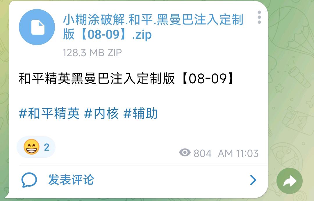 和平精英黑曼巴注入定制版【08-09】 图1