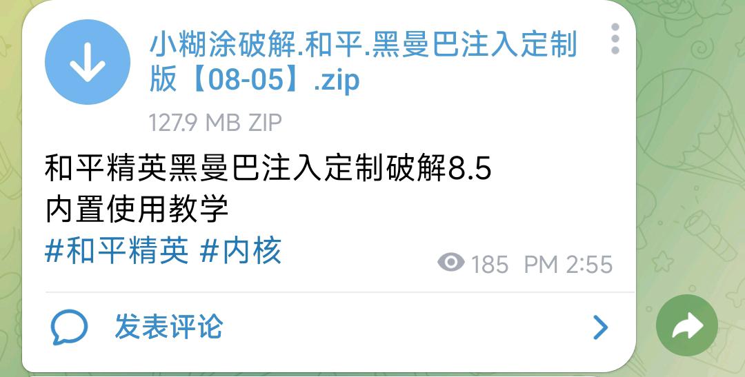 和平精英黑曼巴注入定制破解8.5 图1