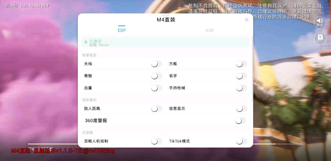 和平M416引擎一体直装 图1