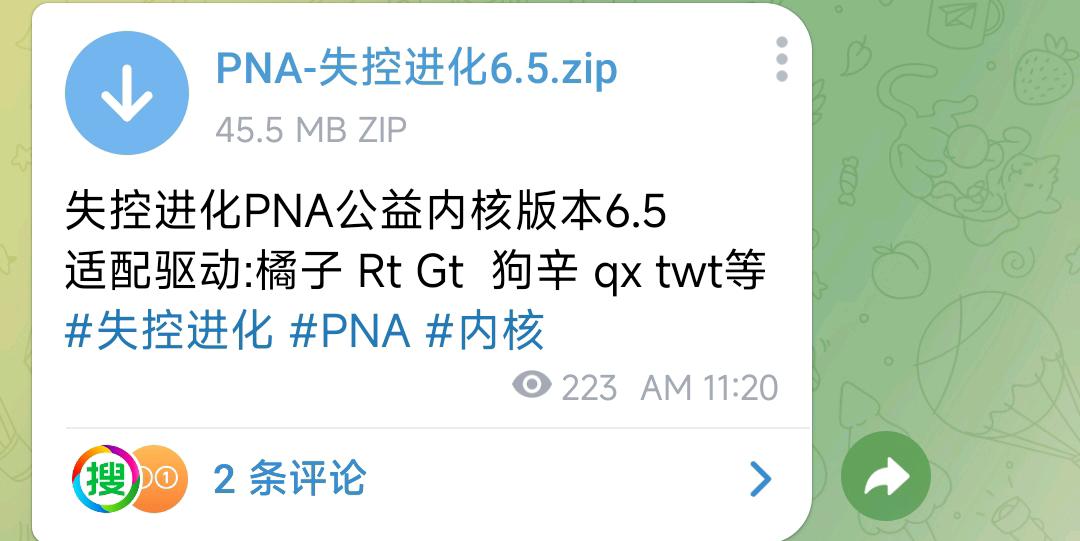 失控进化PNA公益内核版本6.5 图1
