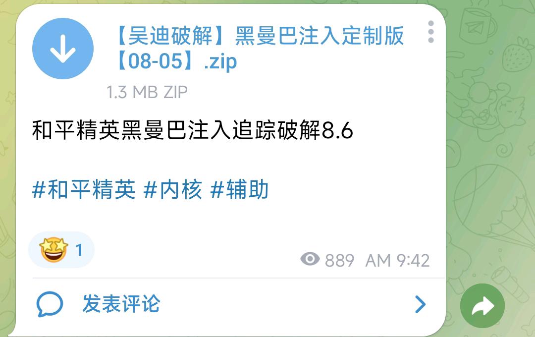 和平精英黑曼巴注入追踪破解8.6 图1