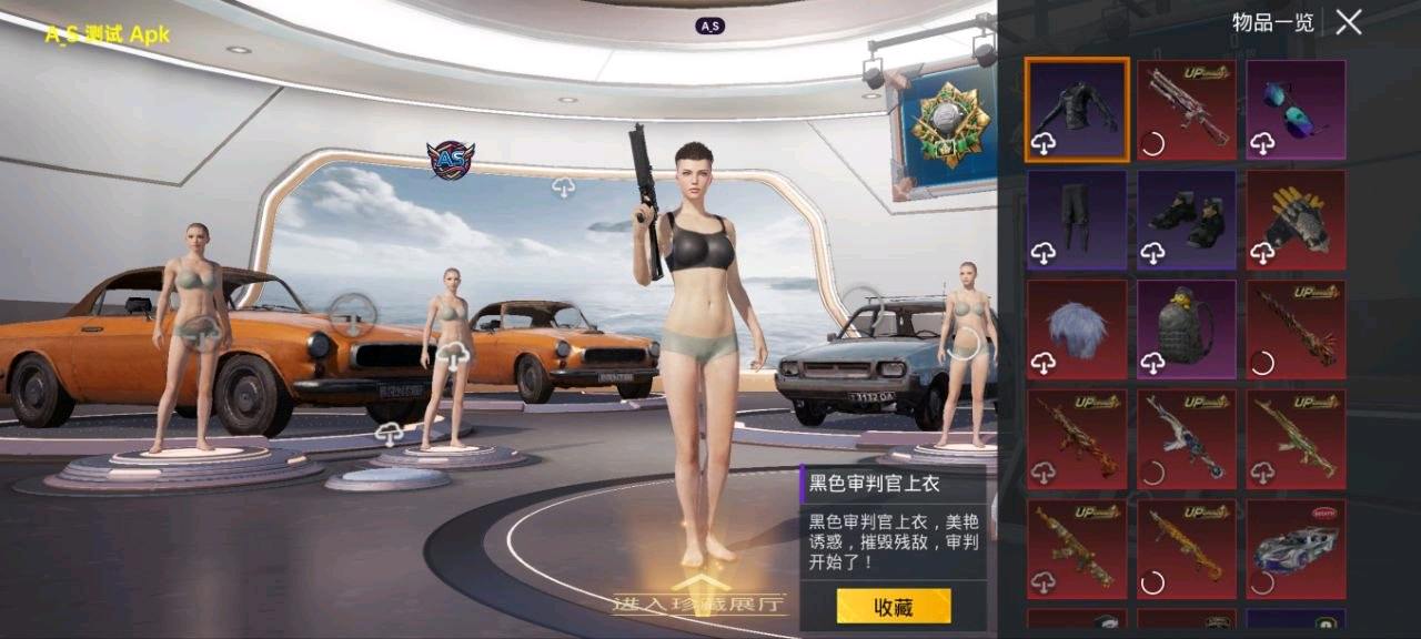 PUBGA_S 加载器直装公益 图1