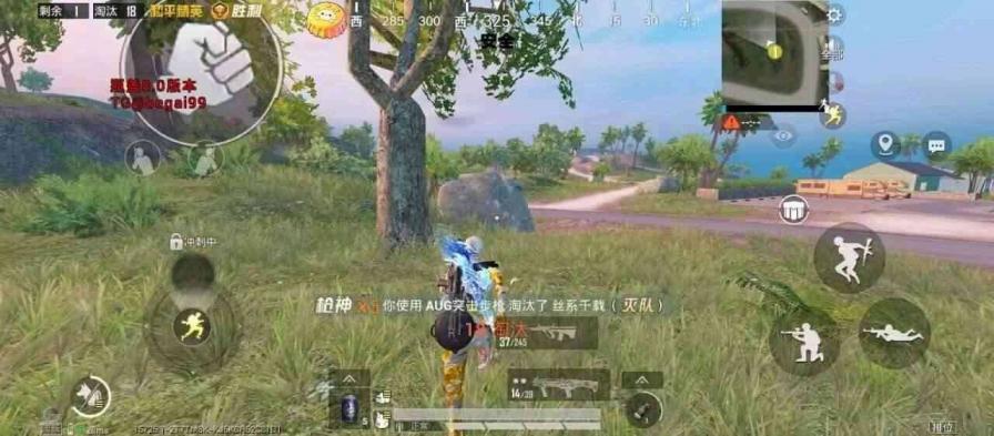 和平精英最新直装 图1