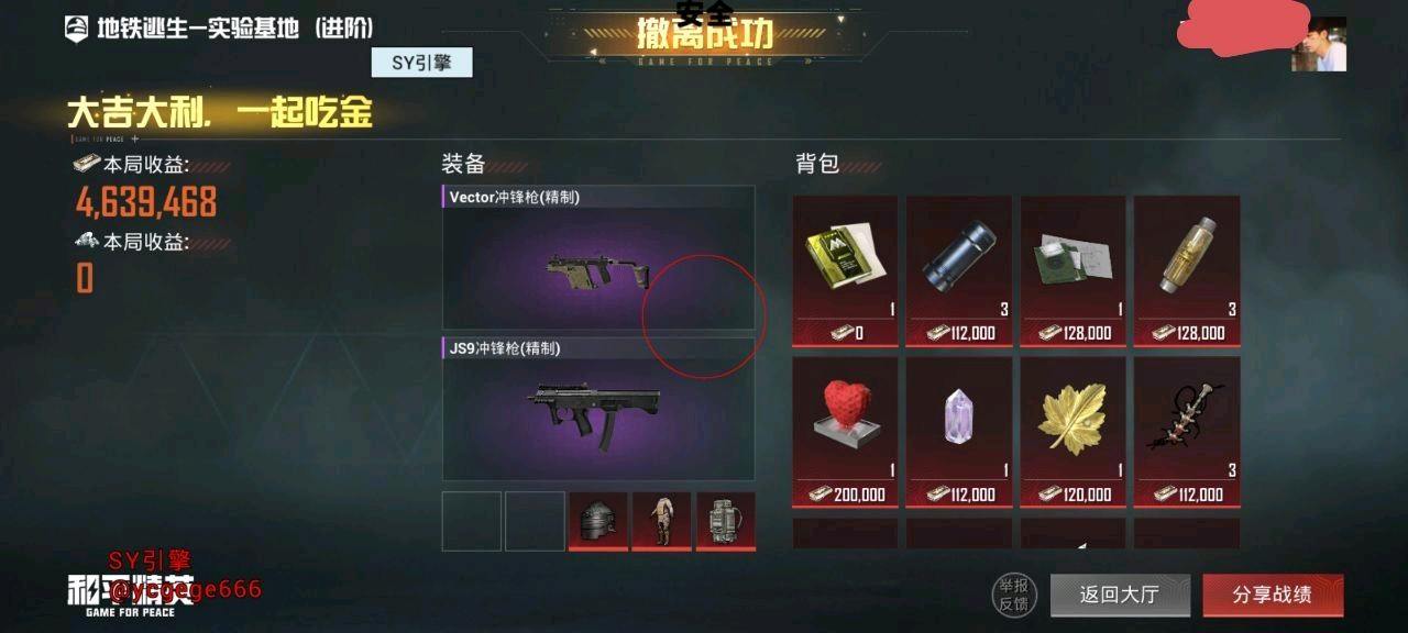和平精英SY容器直装2.0最新版本 图3