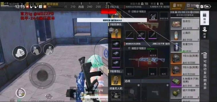 和平精英明帝直装27.0 8.1 图1
