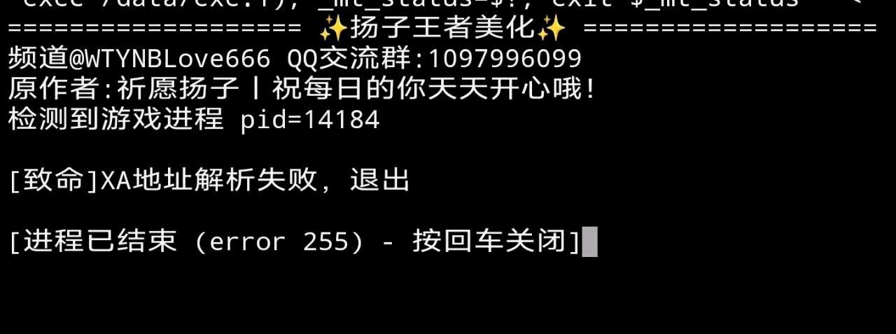 王者荣耀杨子美化内核破解8.28 图1