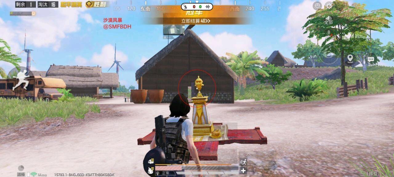 沙漠风暴和平容器 图1