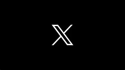 X推特twitter 魔改共存版v12.5.0 图1
