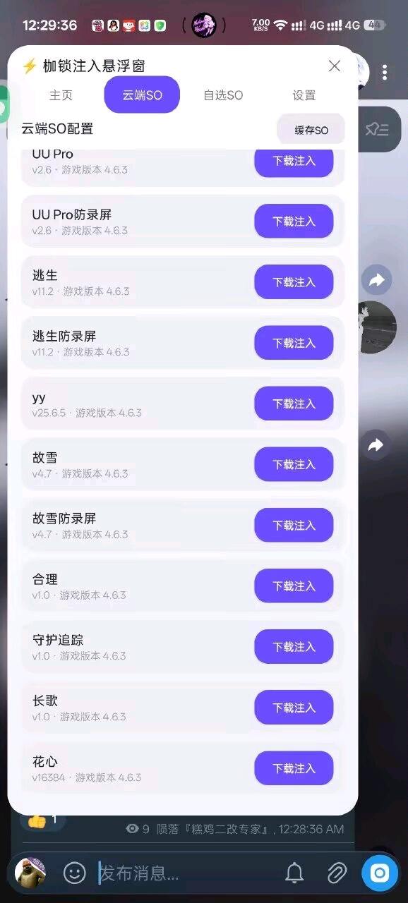 枷锁国体注入1.6 图1