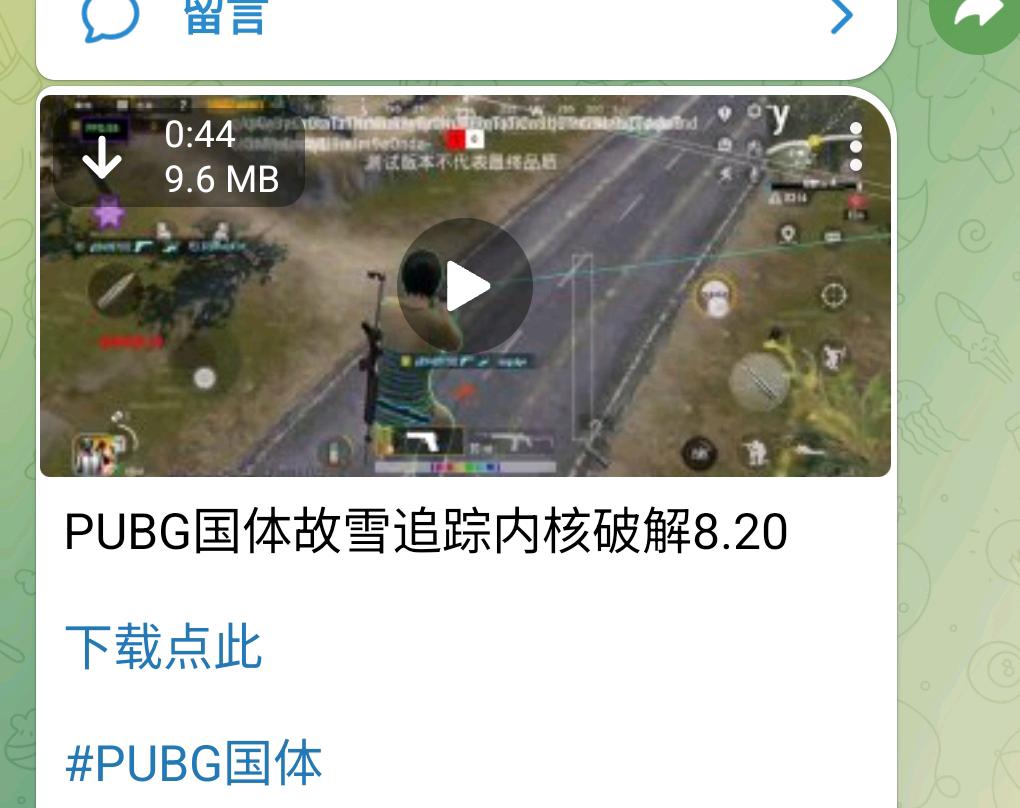 PUBG国体故雪追踪内核破解8.20 图1