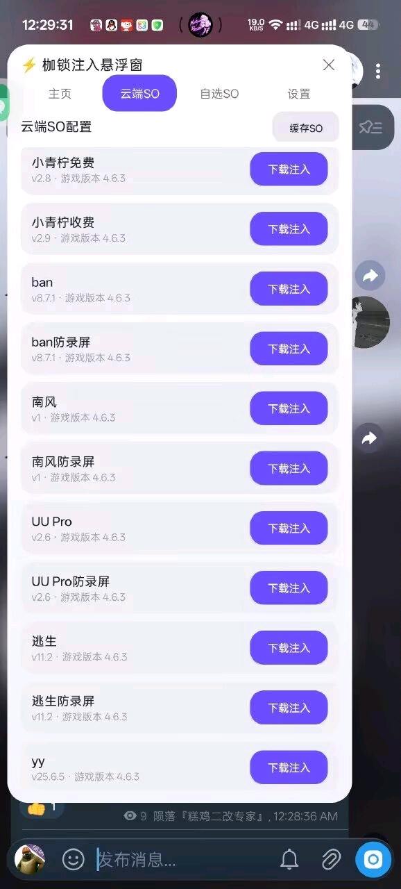枷锁国体注入1.6 图2