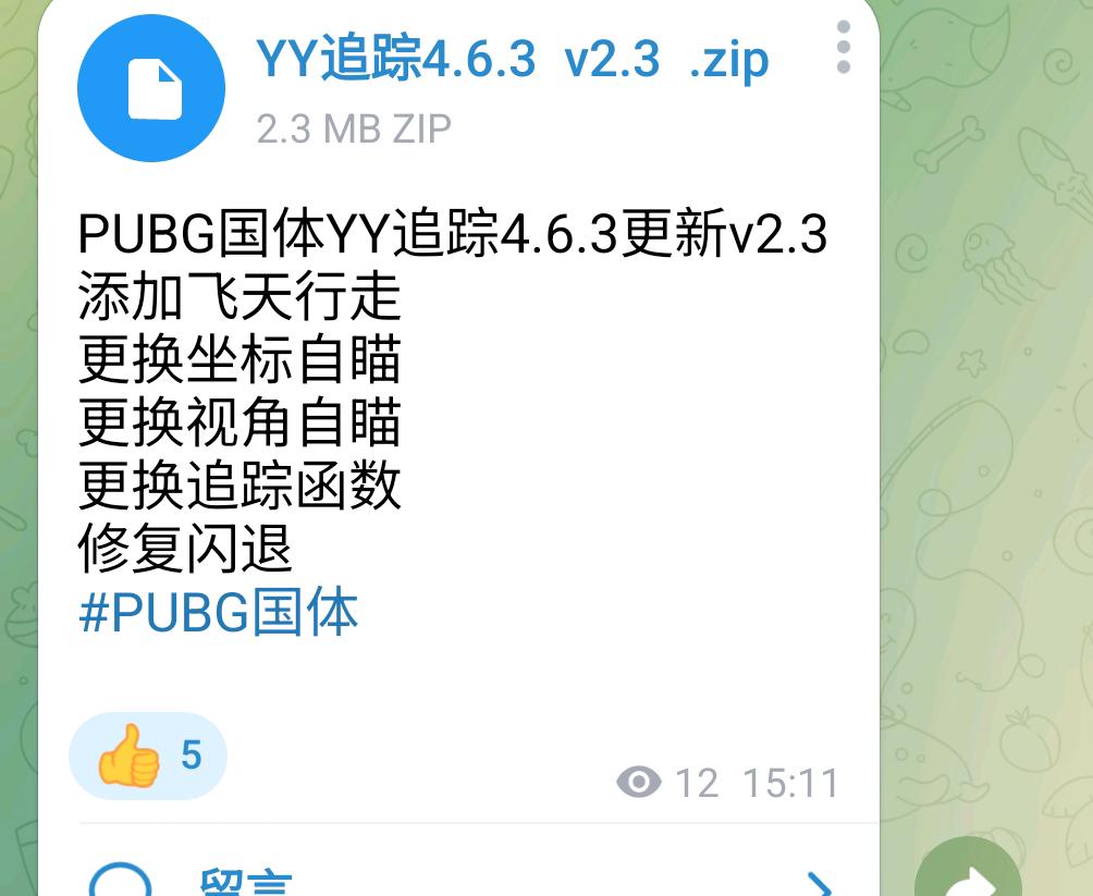 PUBG国体YY追踪 图1