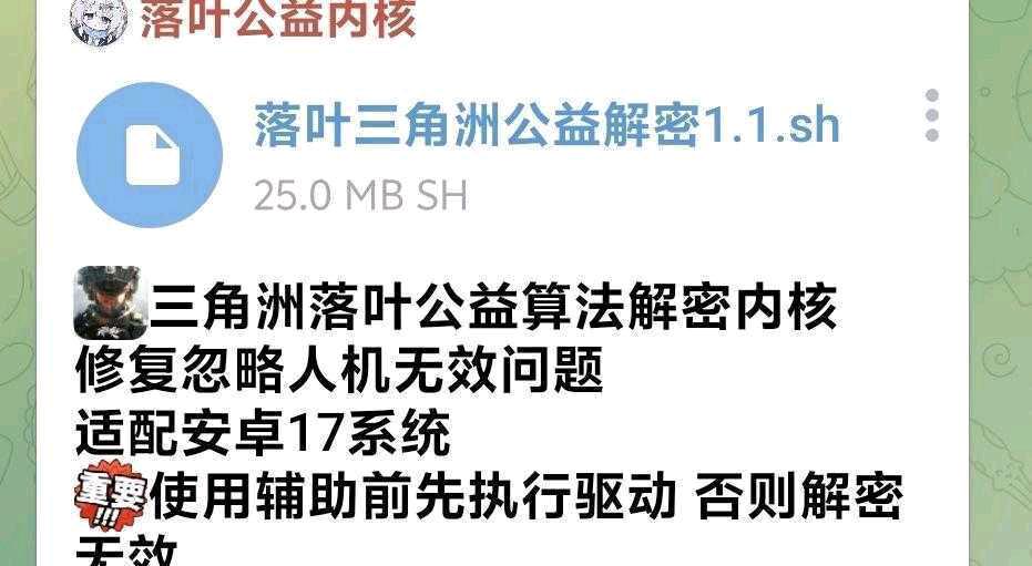 三角洲落叶公益算法解密内核