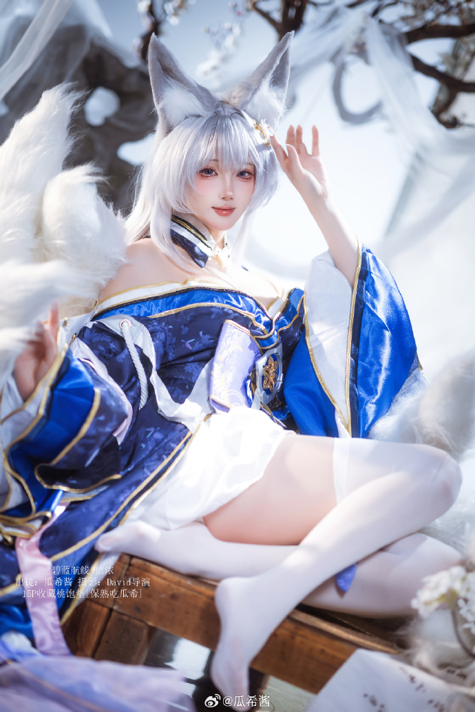 COS 图12