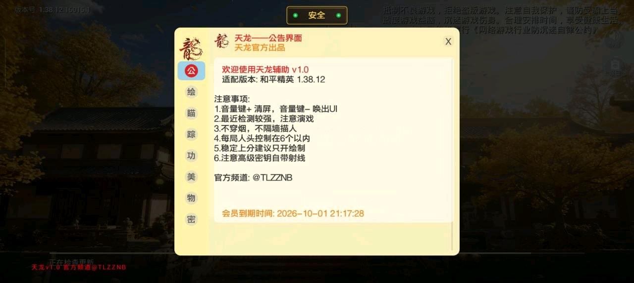 和平精英天龙容器直装v1.0
