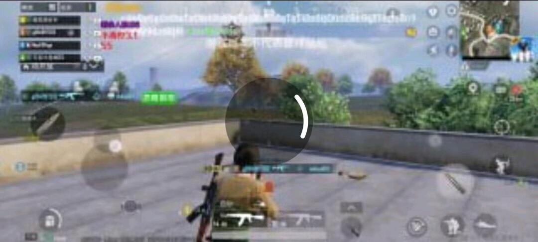 PUBG国体小青柠内核破解 图1