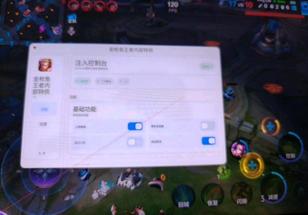 王者荣耀金枪鱼内部特供1.1