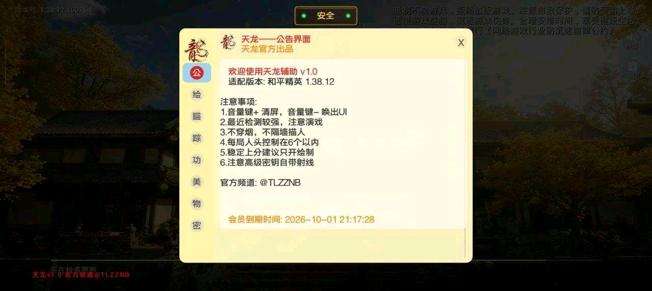 和平精英天龙容器直装v1.0