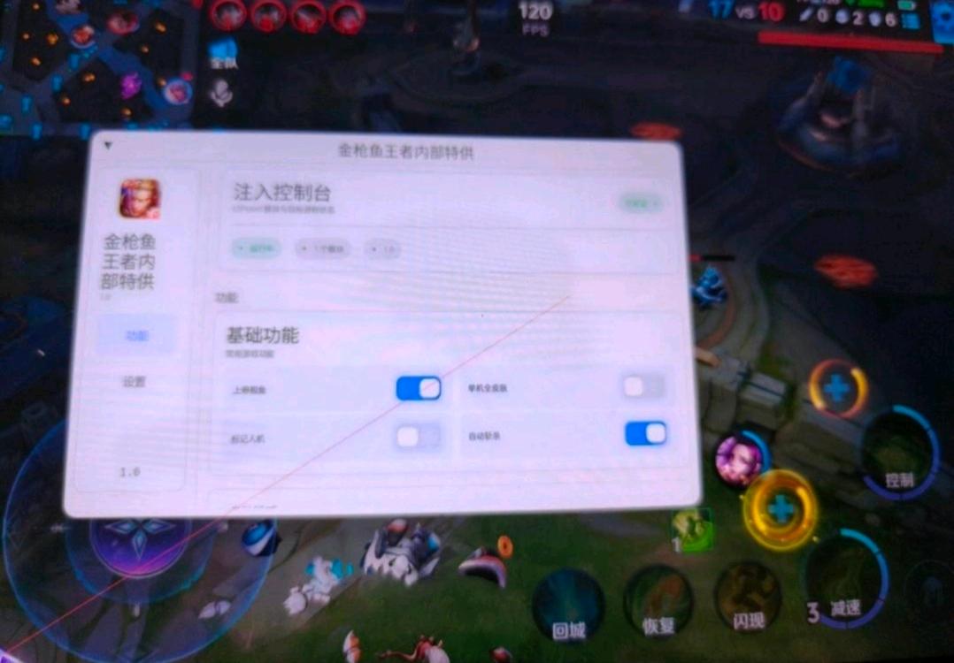 王者荣耀金枪鱼内部特供1.1