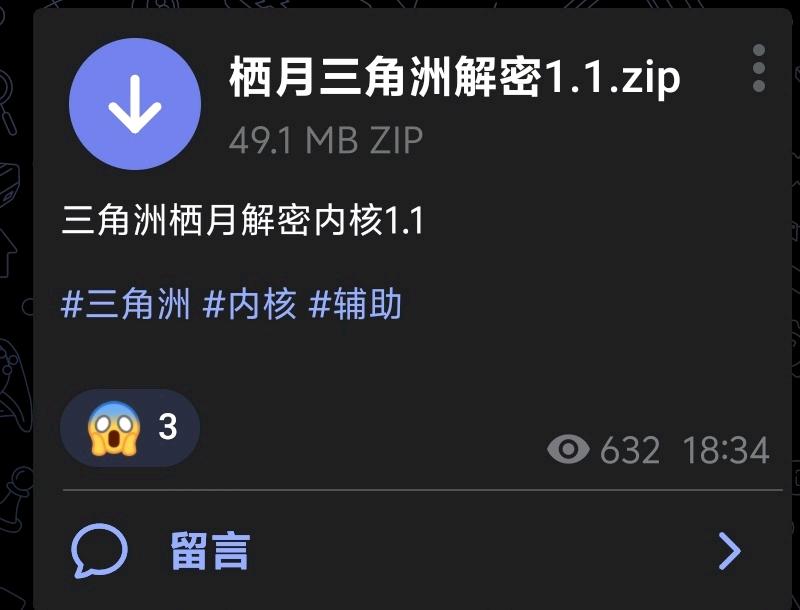 三角洲栖月解密内核1.1 图1