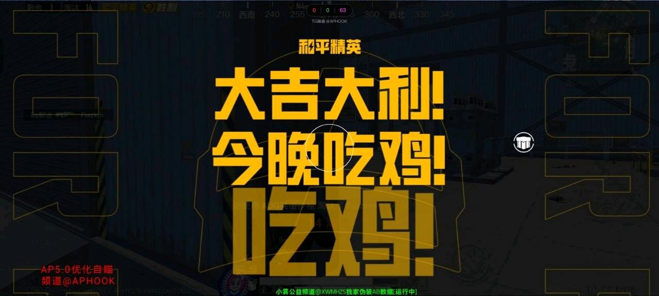 和平精英AP公益直装6.0 图1
